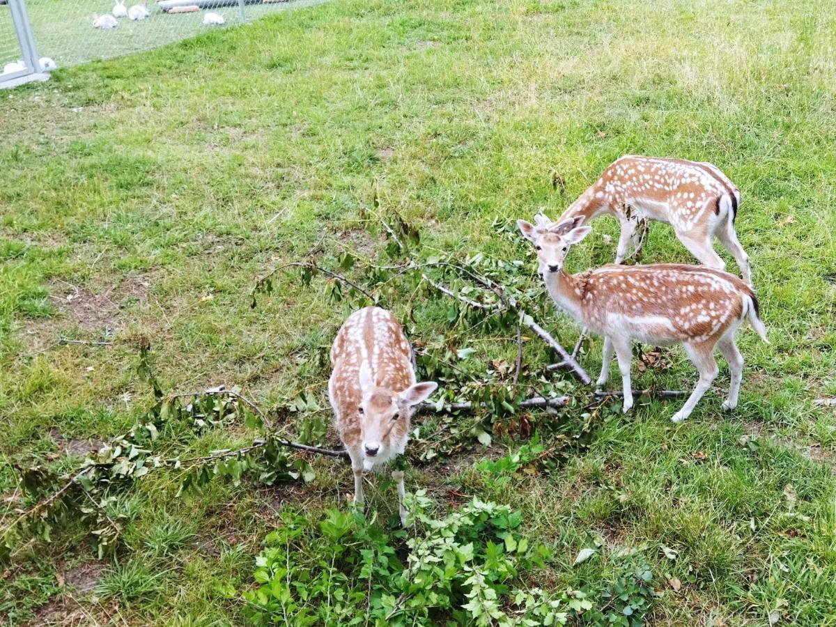 Hotel Oasi Káto Loutrákion Esterno foto